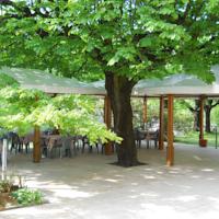 foto Albergo Ristorante Aquila Sulzano