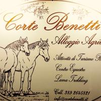 foto Alloggio Corte Benetti Rovigo