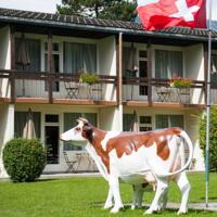 foto Alpine-Inn by Jungfrau Hotel Wilderswil