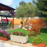 foto Antico Ulivo Agrigento