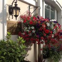 foto Avon Hotel Quartiere di Westminster, Londra
