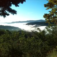 foto Bed & Breakfast Montesterlino Cesena