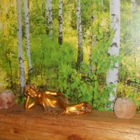 foto Bed & Breakfast Nettuno Trento
