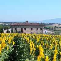foto Borgo Solario Castiglione del Lago