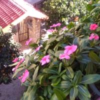 foto Casa Belvedere Agrigento