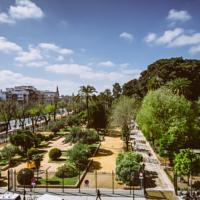 foto Hotel Doña Manuela Centro Storico di Siviglia, Siviglia