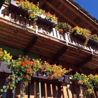 foto Hotel Meublé Gorret Breuil-Cervinia