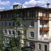 foto Soldanella Sankt Moritz